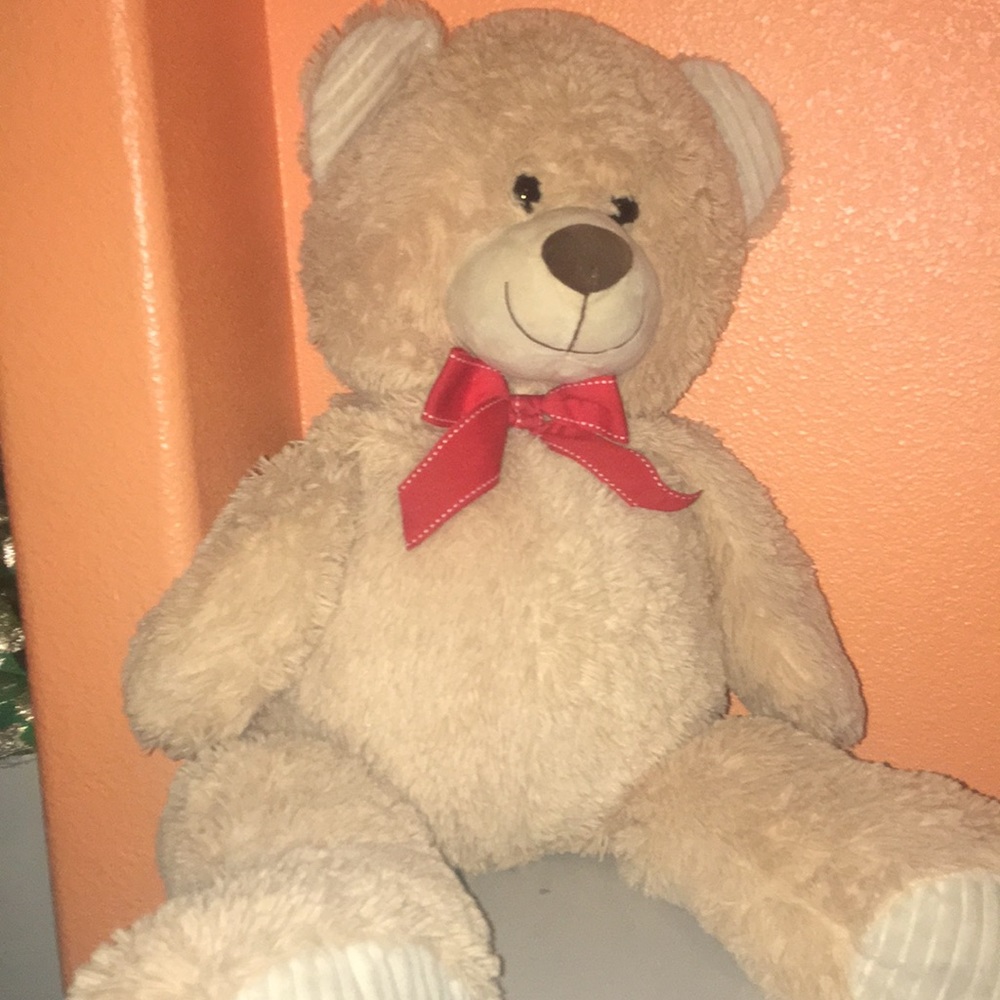 Teddy bear